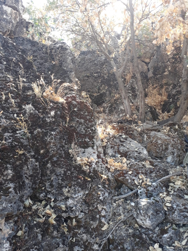 Mardin'de terör örgütüne ait çok sayıda silah ele geçirildi